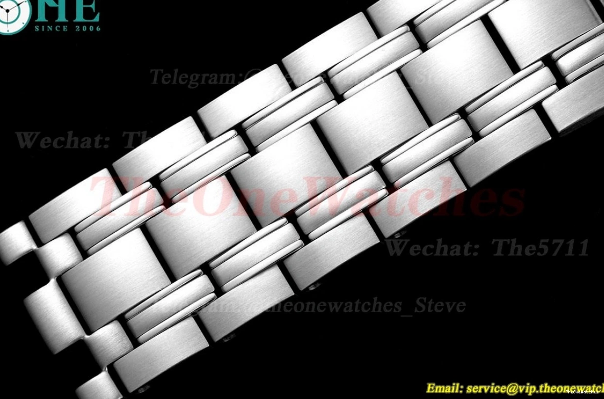 Seamaster Wht A8800 SS SS blue 300m 42mm JVSF 0112